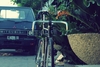 pursuit bike (indonesia custom) photo