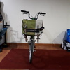 Brompton Ti 16" 2015 photo