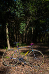 Brooklyn Machine Gangster FIXIE SSCX photo