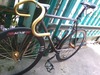 Yellow in Brown KingTy photo