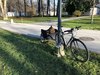 BTwin Commuter / Cargo with dog-trailer photo
