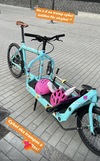 Bullitt photo