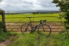 Caad12 photo