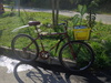 caloi cruiser safari 1988 photo