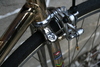 Cambio Rino GOLD Fixie Conversion photo