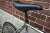 Cambio Rino GOLD Fixie Conversion photo