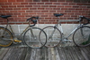 Cambio Rino GOLD Fixie Conversion photo