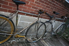 Cambio Rino GOLD Fixie Conversion photo