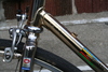 Cambio Rino GOLD Fixie Conversion photo