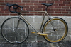 Cambio Rino GOLD Fixie Conversion photo