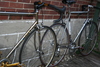 Cambio Rino GOLD Fixie Conversion photo