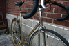 Cambio Rino GOLD Fixie Conversion photo