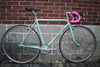 Cannella Canadian Single Speed photo