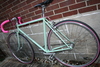 Cannella Canadian Single Speed photo