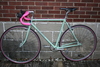 Cannella Canadian Single Speed photo