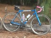 Cannondale 2008 Optimo CX photo