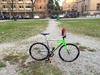 2015 Cannondale Track "Cannone" photo