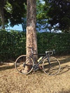 Cannondale CAAD 9 photo