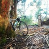 Cannondale CAAD10 2013 w/ 105 photo