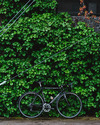 Cannondale Caad5 R600 photo