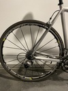 Cannondale Caad5 raw photo