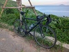 Cannondale CAAD6 2001 photo