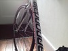 Cannondale CAAD8 105 photo