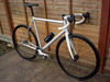 Cannondale Capo photo