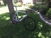 Cannondale Capo photo