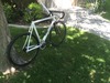 Cannondale Capo photo