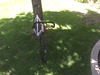 Cannondale Capo photo