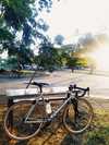 Cannondale Capo Single Speed photo