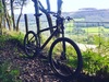 Cannondale F900 SX photo