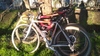 cannondale r400 photo