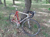 Cannondale R800 photo