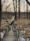 Cannondale Slate photo