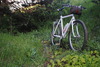 Cannondale SM500 photo