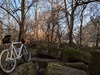 Cannondale SM500 photo