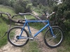 Cannondale SM600 photo