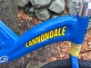 Cannondale Super V 800 Raven photo