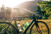 Cannondale SUPERSIX 5 105 photo