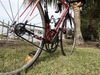 Cannondale SuperSix EVO Belt Drive photo