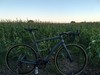 Cannondale Synapse 2018 Campagnolo photo