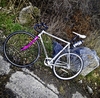 Cannondale Track Bike (fake) photo