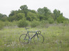 cannondale track / black shamal track photo