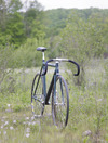 cannondale track / black shamal track photo