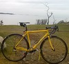 Cannondale Warrior 700r photo