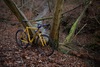 Cannondale XS800 photo