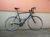 Canyon Endurace CF 8.0 photo