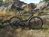 Canyon Endurace CF SL Disc 8.0 photo